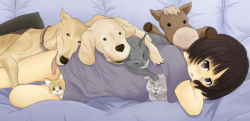 Rule 34 | 1girl, amagami, animal, cat, dog, hosi-gaki, no pants, shirt, stuffed animal, stuffed toy, t-shirt, tachibana miya