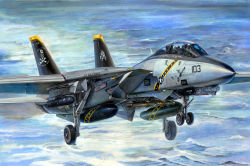 Rule 34 | 2boys, aircraft, airplane, drop tank, f-14 tomcat, fighter jet, jet, jolly roger, koizumi kazuaki production, landing, landing gear, laser guided bomb, military, military vehicle, multiple boys, ocean, skull and crossbones, united states navy, vehicle focus