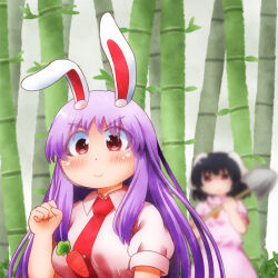 Rule 34 | 2girls, animal ears, bamboo, black hair, blurry, blurry background, blush, breasts, carrot pin, clenched hand, closed mouth, collared shirt, commentary request, dress, flat chest, floppy ears, holding, holding shovel, inaba tewi, matty (zuwzi), medium breasts, multiple girls, necktie, pink dress, pink shirt, puffy short sleeves, puffy sleeves, purple hair, rabbit ears, rabbit girl, red eyes, red necktie, reisen udongein inaba, shirt, short hair, short sleeves, shovel, smile, solo focus, touhou, upper body, v-shaped eyebrows