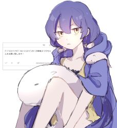 Rule 34 | coat, coat on shoulders, digimon, digimon story: cyber sleuth, digimon story: cyber sleuth hacker&#039;s memory, long hair, mishima erika, translation request, twintails, very long hair