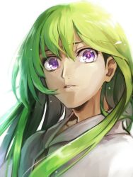Rule 34 | androgynous, bad id, bad twitter id, bloom, enkidu (fate), fate/grand order, fate (series), gender request, green hair, highres, kingu (fate), long hair, parted lips, purple eyes, ruchi, simple background, solo, upper body, white background
