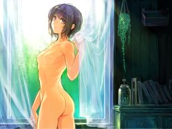 Rule 34 | 1girl, ass, book, breasts, collarbone, curtains, highres, komota (kanyou shoujo), nipples, nude, original, purple eyes, purple hair, see-through, short hair, small breasts, smile, solo