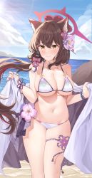 Rule 34 | 1girl, absurdres, animal ear fluff, animal ears, beach, bikini, blue archive, blue sky, breasts, brown eyes, brown hair, closed mouth, cloud, day, floating hair, flower, fox ears, fox girl, fox tail, hair flower, hair ornament, halo, highres, hinen, holding, holding towel, large breasts, long hair, nail polish, navel, ocean, outdoors, pink flower, purple flower, purple nails, skindentation, sky, smile, solo, stomach, sunlight, swimsuit, tail, thigh strap, towel, very long hair, wakamo (blue archive), wakamo (swimsuit) (blue archive)