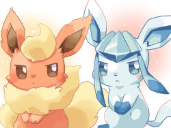 Rule 34 | :&lt;, animal focus, blue eyes, brown eyes, closed mouth, commentary request, creatures (company), flareon, game freak, gen 1 pokemon, gen 4 pokemon, glaceon, kana (maple926), looking to the side, nintendo, no humans, pokemon, pokemon (creature), sidelocks, simple background, sitting, sparkle background, toes