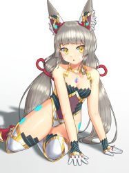 Rule 34 | 1girl, animal ears, arclumx, bare arms, breasts, chest jewel, facial mark, full body, gloves, highleg, highleg leotard, highres, leotard, long hair, low twintails, nia (blade) (xenoblade), nia (xenoblade), nintendo, niyah, simple background, small breasts, solo, spoilers, thighhighs, twintails, very long hair, white background, xenoblade chronicles (series), xenoblade chronicles 2, xenoblade chronicles (series), xenoblade chronicles 2