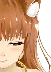 Rule 34 | 1girl, absurdres, animal ear fluff, animal ears, blunt bangs, blush, brown hair, chinese commentary, close-up, closed mouth, commentary request, derivative work, eyebrows hidden by hair, eyelashes, half-closed eyes, highres, holo, lips, looking at viewer, mouth hold, red eyes, shenhaiqiqudan, simple background, solo, spice and wolf, split crop, stalk in mouth, straight hair, wheat, white background, wolf ears, wolf girl