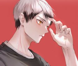 Rule 34 | 1boy, close-up, dal li 0130, eyebrows, eyelashes, fingernails, grey hair, haikyuu!!, hand in own hair, hand up, highres, jersey, kita shinsuke, korean commentary, male focus, multicolored hair, parted lips, profile, red background, short hair, sportswear, sweat, two-tone hair, volleyball uniform, yellow eyes