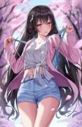 Rule 34 | 1girl, backpack, bag, belt, black hair, blue shorts, blush, breasts, collarbone, commentary request, cowboy shot, day, hair ornament, head tilt, highres, long hair, looking at viewer, medium breasts, midriff, navel, open mouth, original, outdoors, purple eyes, shirt, short shorts, shorts, sidelocks, slender, solo, standing, stomach, superpig, thighs, tied shirt, very long hair, white shirt