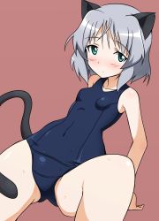 Rule 34 | 1girl, animal ears, breasts, green eyes, highres, one-piece swimsuit, sanya v. litvyak, school swimsuit, short hair, silver hair, sitting, small breasts, solo, strike witches, swimsuit, tail, wet, world witches series, yumekaranigeruna