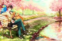 Rule 34 | 1boy, artist name, bad id, bad pixiv id, bench, bird, cardigan, cat, collared shirt, converse, crossed legs, day, grass, highres, light rays, looking at viewer, male focus, necktie, original, outdoors, park, path, petals, pierorabu, red necktie, road, scenery, shirt, shoes, sneakers, solo, spring (season), striped necktie, striped neckwear, sunbeam, sunlight, watermark, white shirt