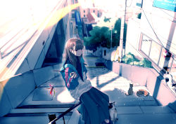 Rule 34 | 1girl, absurdres, black cat, black eyes, blurry, blurry background, brown hair, cable, cat, cat teaser, cityscape, closed mouth, day, from side, hand in pocket, hand up, highres, holding, jacket, lamppost, long hair, long skirt, long sleeves, maeda mic, on railing, original, partially unzipped, railing, scenery, shadow, sign, sitting, skirt, smile, solo, stairs, stretching, sunlight, swept bangs, tail, tree, utility pole, window