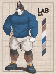 Rule 34 | 1boy, bara, blue hoodie, bulge, calf, character name, dog boy, facial hair, full body, furry, furry male, glasses, gloves, grey hair, highres, hood, hoodie, large pectorals, male focus, mature male, muscular, muscular male, mustache stubble, old, old man, onionworkshop, original, paid reward available, pectorals, shoes, short hair, shorts, sneakers, solo, standing, stubble, tachi-e, translation request