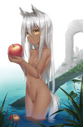 Rule 34 | 1girl, animal ears, apple, completely nude, dark-skinned female, dark skin, dog ears, dog tail, flat chest, food, fruit, hair between eyes, highres, holding, holding food, holding fruit, long hair, looking at viewer, moti ken, navel, nipples, no pussy, nude, open mouth, original, outdoors, profile, ruins, silver hair, solo, standing, tail, water, yellow eyes