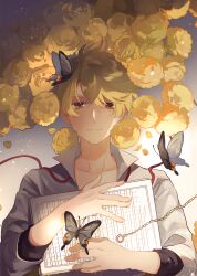 Rule 34 | 1boy, black butterfly, brown eyes, bug, bungou to alchemist, butterfly, butterfly on head, closed mouth, expressionless, flower, genkou youshi, grey shirt, hair between eyes, highres, holding, holding paper, hugging object, insect, light particles, male focus, nasuko, neck ribbon, paper, petals, popped collar, red ribbon, ribbon, rose, shirt, short hair, sleeves rolled up, solo, tayama katai (bungou to alchemist), undone neck ribbon, upper body, yellow flower, yellow rose