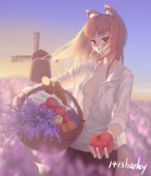 Rule 34 | 141sharky, 1girl, animal ears, apple, artist name, basket, breasts, brown hair, downblouse, field, flower, flower field, food, frilled shirt, frills, fruit, gradient sky, grapes, holding, holding basket, holding food, holding fruit, holo, long hair, looking at viewer, outdoors, purple flower, red eyes, shirt, sky, small breasts, solo, spice and wolf, tail, white shirt, windmill, wolf ears, wolf girl, wolf tail