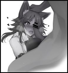 Rule 34 | 1boy, 1girl, animal ear fluff, animal ears, arm strap, bare shoulders, blush, breast press, breasts, collar, erection, fur trim, greyscale, headpat, heart, large breasts, makoto (princess connect!), medium hair, metal collar, mobu, monochrome, open mouth, paizuri, penis, penis on face, penis over one eye, princess connect!, sidelocks, simple background, white background, wolf ears, wolf girl
