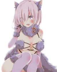Rule 34 | 1girl, animal ears, backlighting, breasts, elbow gloves, eyes visible through hair, fate/grand order, fate (series), fur-trimmed gloves, fur-trimmed legwear, fur collar, fur trim, gloves, hair over one eye, hiro (hirohiro31), large breasts, legs together, light purple hair, looking at viewer, mash kyrielight, mash kyrielight (dangerous beast), o-ring, o-ring top, official alternate costume, open mouth, purple eyes, purple gloves, purple hair, purple thighhighs, short hair, simple background, smile, solo, tail, thighhighs, white background, wolf ears, wolf tail