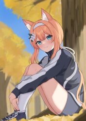 Rule 34 | 1girl, absurdres, animal ears, autumn, autumn leaves, black footwear, blue archive, blue eyes, blush, breasts, closed mouth, flower, grey shorts, hair flower, hair ornament, highres, long hair, long sleeves, looking at viewer, mari (blue archive), mari (track) (blue archive), mikeran5648, official alternate costume, orange hair, shoes, shorts, sitting, small breasts, socks, solo, white flower, white socks