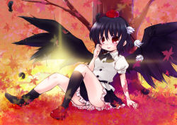 Rule 34 | 1girl, :p, akino ochiba, autumn leaves, black hair, black wings, blush, feathers, female focus, hat, looking at viewer, open mouth, red eyes, shameimaru aya, shoes, single shoe, smile, solo, thighs, tokin hat, tongue, tongue out, touhou, wings