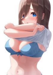Rule 34 | 1girl, blue bra, blue eyes, blush, bra, breasts, brown hair, go-toubun no hanayome, hair between eyes, highres, hiyoku, large breasts, long hair, looking at viewer, midriff, nakano miku, navel, open mouth, shirt, simple background, solo, underwear, undressing, white background, white shirt