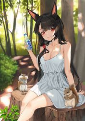 Rule 34 | 1girl, absurdres, akagi (azur lane), alternate costume, animal, animal ears, azur lane, bare arms, bare legs, bare shoulders, black hair, blurry, blurry background, blush, bottle, breasts, cleavage, collarbone, day, depth of field, dress, forest, fox ears, hair ornament, halter dress, halterneck, highres, holding, holding bottle, large breasts, long hair, looking at viewer, nature, outdoors, plant, red eyes, sitting, sleeveless, sleeveless dress, smile, solo, spaghetti strap, squirrel, tree, tree stump, water bottle, white dress, xi xeong