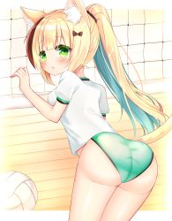 Rule 34 | 1girl, :o, animal ear fluff, animal ears, ass, bad anatomy, ball, blonde hair, blue hair, blush, breasts, brown hair, buruma, cat ears, cat girl, cat tail, commentary request, commission, from behind, green buruma, green eyes, gym shirt, hand up, highres, indoors, long hair, looking at viewer, looking back, medium breasts, multicolored hair, original, parted lips, pixiv commission, ponytail, puffy short sleeves, puffy sleeves, shikito (yawa0w0), shirt, short sleeves, solo, standing, streaked hair, tail, two-tone hair, very long hair, volleyball, volleyball (object), volleyball net, white shirt, wooden floor