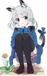 Rule 34 | 1girl, animal ears, black sailor collar, black thighhighs, blue bow, blue cardigan, blue eyes, blush, bow, brown footwear, cardigan, cat ears, cat tail, closed mouth, commentary request, flower, full body, grey skirt, hands up, highres, loafers, long hair, long sleeves, looking at viewer, open cardigan, open clothes, original, pleated skirt, sailor collar, shoes, silver hair, skirt, smile, solo, squatting, tail, tail bow, tail ornament, tail raised, tantan men (dragon), thighhighs, white flower, yellow flower