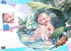 Rule 34 | 1girl, 2023, bare shoulders, barefoot, benghuai xueyuan, bird, character name, choker, copyright name, day, feet, flower, hair flower, hair ornament, honkai (series), knees up, legs, looking at viewer, official art, pink hair, plant, red eyes, second-party source, sitting, smile, soles, swimsuit, thigh strap, toes, tsumugi (benghuai xueyuan), wading, water