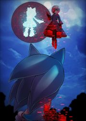 Rule 34 | 1boy, 2girls, amy rose, black dress, cang she, cloud, dress, floating, from behind, full moon, furry, furry male, gloves, highres, moon, multiple girls, night, night sky, one eye covered, outdoors, sage (sonic), sky, sonic (series), sonic frontiers, sonic the hedgehog, white gloves, white hair