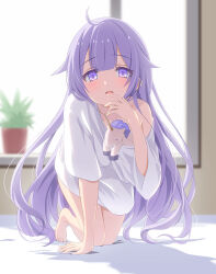 Rule 34 | 1girl, :d, ahoge, all fours, azur lane, barefoot, blurry, blurry background, commentary request, commission, day, depth of field, hair flaps, highres, indoors, long hair, long sleeves, looking at viewer, off shoulder, open mouth, plant, potted plant, purple eyes, purple hair, shirt, skeb commission, smile, solo, stuffed winged unicorn, sukireto, sunlight, unicorn (azur lane), very long hair, white shirt, wide sleeves, window