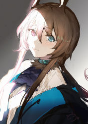 Rule 34 | 1girl, amiya (arknights), animal ears, arknights, artist logo, ascot, black coat, blue ascot, blue eyes, brown hair, chaoxi, chinese commentary, closed mouth, coat, gradient background, grey background, hair between eyes, heterochromia, highres, jewelry, long hair, looking at viewer, neck ring, ponytail, rabbit ears, red eyes, shirt, sidelocks, simple background, solo, sunlight, upper body, white shirt
