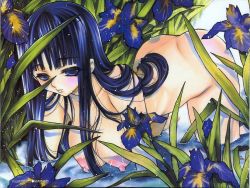 Rule 34 | all fours, blue eyes, blue hair, blush, breasts, flower, grass, highres, huge nipples, large breasts, long hair, marker (medium), nipples, nude, scan, solo, traditional media, water, wet