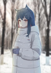Rule 34 | 1girl, absurdres, animal ears, arknights, bare tree, black hair, blue gloves, coat, colored inner hair, cup, day, disposable cup, gloves, highres, holding, holding cup, leiroken, long hair, long sleeves, looking at viewer, multicolored hair, orange eyes, outdoors, parted lips, red hair, sidelocks, snow, snowing, solo, texas (arknights), tree, upper body, white coat, winter, winter clothes, winter coat, wolf ears, wolf girl