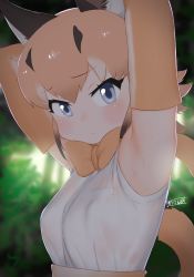 Rule 34 | 1girl, animal ears, armpit focus, armpits, arms up, blouse, blue eyes, bow, bowtie, caracal (kemono friends), commentary request, elbow gloves, gloves, hair between eyes, highres, kemono friends, kemono friends 2, looking at viewer, masuyama ryou, orange bow, orange bowtie, orange hair, see-through, shirt, sleeveless, sleeveless shirt, solo, sweat, tail, traditional bowtie, upper body, wet, wet clothes, wet shirt, white shirt