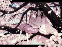 Rule 34 | 1girl, bare legs, barefoot, bird, black hair, cherry blossoms, dress, flower, hair flower, hair ornament, hair ribbon, highres, in tree, long sleeves, original, pd-x, petals, pink dress, ribbon, sitting, sitting in tree, smile, solo, traditional clothes, tree, twintails