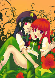 Rule 34 | 2girls, akiyoshi (rahyang), blunt bangs, braid, china dress, chinese clothes, dress, dual persona, female focus, finger to mouth, flower, hat, hong meiling, lie meiling, long hair, multiple girls, red eyes, red hair, touhou, twin braids