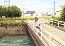 Rule 34 | 1girl, bag, bird, black eyes, black hair, black skirt, canal, cloud, cloudy sky, collared shirt, commentary request, day, enokitake, grass, house, leaning, original, outdoors, pleated skirt, power lines, railing, river, road, scenery, school bag, school uniform, shirt, short sleeves, sign, skirt, sky, solo, transmission tower, uniform, utility pole, vanishing point, white shirt, window