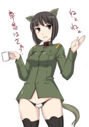 Rule 34 | 1girl, animal ears, black thighhighs, character request, check commentary, commentary request, cowboy shot, gluteal fold, green jacket, groin, highres, holding, jacket, long sleeves, looking at viewer, military, military uniform, no pants, open mouth, panties, short hair, simple background, smile, solo, standing, strike witches zero, tail, thighhighs, translation request, underwear, uniform, w arms, wan&#039;yan aguda, white background, white panties, world witches series