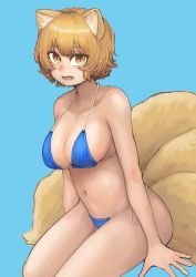 Rule 34 | 1girl, absurdres, bikini, blonde hair, blue background, blue bikini, breasts, chanta (ayatakaoisii), cleavage, feet out of frame, fox tail, highres, large breasts, looking at viewer, multiple tails, navel, shadow, short hair, simple background, solo, swimsuit, tail, touhou, yakumo ran, yellow eyes