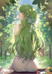 Rule 34 | 1girl, ass, blue ribbon, c.c., code geass, creayus, dress, from behind, green hair, hair ribbon, hat, unworn hat, unworn headwear, highres, long hair, looking at viewer, looking back, nature, noise, outdoors, ribbon, sitting, sleeveless, sleeveless dress, solo, symbol-only commentary, tree, white dress, yellow eyes