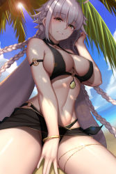 Rule 34 | 1girl, alternate hairstyle, beach, bikini, black bikini, black sarong, blue sky, blush, braid, breasts, brown eyes, cleavage, cloud, commentary request, day, dydydyok, fate/grand order, fate (series), heroic spirit festival outfit, highres, jeanne d&#039;arc (fate), jeanne d&#039;arc alter (fate), jeanne d&#039;arc alter (festival outfit) (fate), large breasts, lens flare, long hair, looking at viewer, looking down, ocean, official alternate costume, palm tree, parted lips, quad braids, sarong, silver hair, sitting, sky, smile, solo, sunlight, swimsuit, thighs, tree, twintails