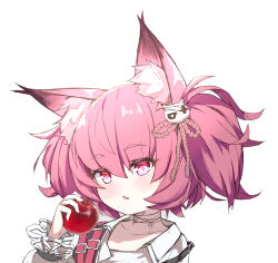 Rule 34 | 1girl, absurdres, animal ear fluff, animal ears, apple, arknights, bandaged neck, bandages, c309657344, collarbone, fang, food, fruit, hair between eyes, hair ornament, heart, heart-shaped pupils, highres, holding, holding food, holding fruit, long sleeves, looking at viewer, parted lips, pink hair, puffy long sleeves, puffy sleeves, purple eyes, red apple, shamare (arknights), shirt, simple background, solo, symbol-shaped pupils, thick eyebrows, twintails, upper body, white background, white shirt