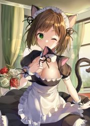 Rule 34 | 1girl, alternate costume, animal ears, apron, bad id, bad pixiv id, bob cut, breasts, brown hair, cat ears, cat tail, cleavage, commentary, curtains, enmaided, fake animal ears, flower, green eyes, idolmaster, idolmaster cinderella girls, idolmaster cinderella girls starlight stage, indoors, large breasts, looking at viewer, maekawa miku, maid, maid headdress, medium hair, mouth hold, one eye closed, pinb, puffy sleeves, short sleeves, solo, sparkle, symbol-only commentary, tail, upper body, window, wrist cuffs