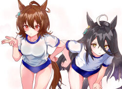 Rule 34 | 2girls, animal ears, black hair, blowing kiss, blue eyes, blush, breasts, brown hair, buruma, character request, cleavage, hand on leg, hand on own leg, hand on own thigh, highres, horse ears, large breasts, leaning forward, legs, long hair, looking at viewer, medium breasts, multiple girls, puckered lips, red eyes, shirt, short hair, small breasts, smile, solo, sports uniform, sweat, thighs, umamusume, yellow eyes
