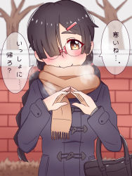 Rule 34 | 1girl, black hair, blush, braid, breath, brown eyes, coat, glasses, hair over one eye, highres, jimiko, looking at viewer, low twintails, original, outdoors, scarf, smile, solo, swept bangs, translated, twin braids, twintails, yaseiseihamu