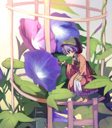 Rule 34 | 1girl, barefoot, bowl, bowl hat, clipboard, commentary request, flower, hat, highres, japanese clothes, kimono, long sleeves, mini person, minigirl, morning glory, notebook, obi, pen, purple hair, red eyes, sash, short hair, solo, sukuna shinmyoumaru, syope, touhou, wide sleeves