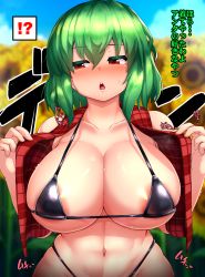 Rule 34 | !?, 1girl, abs, areola slip, bare shoulders, bikini, black bikini, blurry, blurry background, blush, breasts, collarbone, curvy, day, field, flower, flower field, furrowed brow, green hair, hair between eyes, half-closed eyes, halterneck, hands up, heartbeat, highres, huge breasts, kazami yuuka, looking to the side, medium hair, micro bikini, navel, nose blush, open clothes, open vest, outdoors, peso (cheese company), plaid, plaid vest, red eyes, red vest, solo, stomach, strap gap, sunflower, sunflower field, sweat, swimsuit, toned, touhou, translation request, upper body, vest
