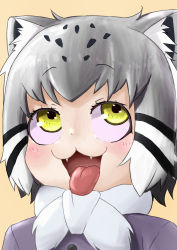 Rule 34 | 1girl, :3, absurdres, animal ears, bad id, bad pixiv id, blush, cat ears, cat girl, eyebrows, fangs, grey hair, highres, kemono friends, looking up, multicolored hair, open mouth, pallas&#039;s cat (kemono friends), piku 39, short hair, simple background, solo, spotted hair, tongue, tongue out, yellow eyes