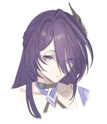 1girl acheron_(honkai:_star_rail) black_choker choker closed_mouth detached_sleeves eyes_visible_through_hair gnarlypzofbread hair_ornament hair_over_one_eye highres honkai:_star_rail honkai_(series) long_hair looking_at_viewer multicolored_hair portrait purple_eyes purple_hair solo streaked_hair white_background