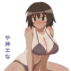 Rule 34 | 1girl, azumanga daiou, bikini, blush, breasts, breasts squeezed together, brown bikini, brown eyes, brown hair, cleavage, collarbone, commentary, covered navel, curvy, dark-skinned female, dark skin, embarrassed, feet out of frame, frown, furrowed brow, hair between eyes, kagura (azumanga daioh), large breasts, leaning forward, looking at viewer, nose blush, on ground, one-piece tan, shiny skin, short hair, simple background, sitting, solo, sweatdrop, swimsuit, tan, tanline, toutouhai, translated, turning head, v arms, very short hair, wariza, white background